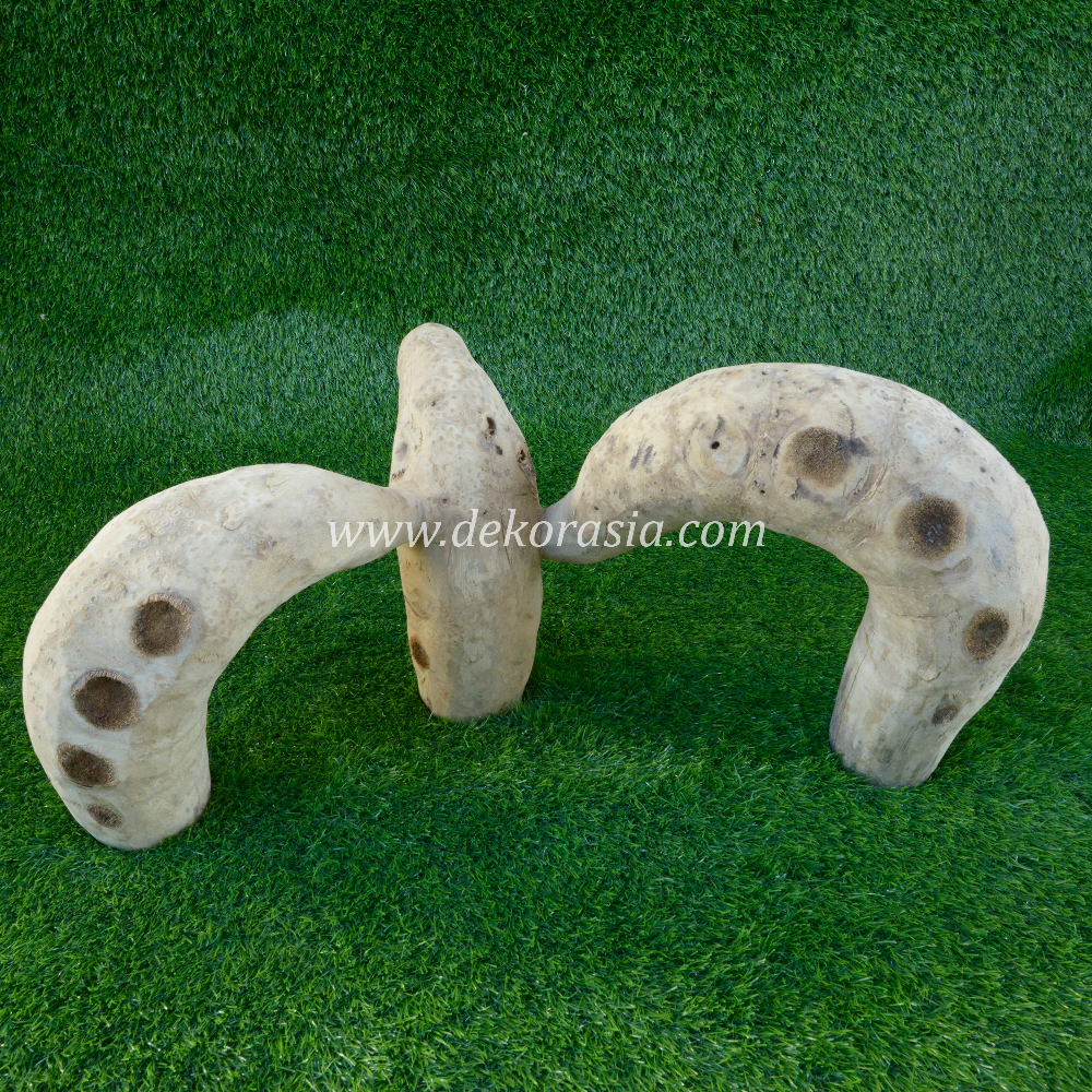 Bamboo Root (Size L) for Jungle Gym, Vivariums Reptile, Aquarium, Aquascaping, Reptile Clean Bamboo Root Decor Craft